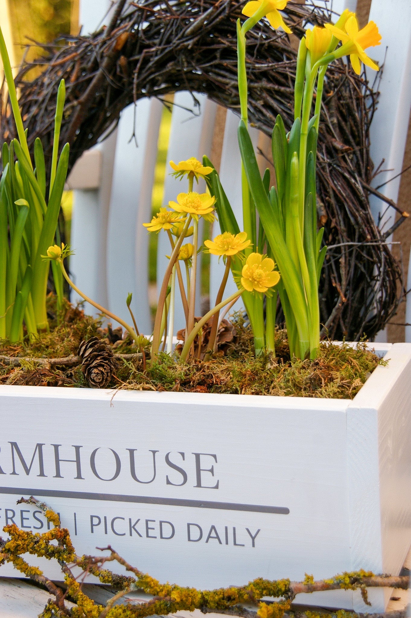 Dekokiste im Farmhouse Stil ''Market Fresh Produce''